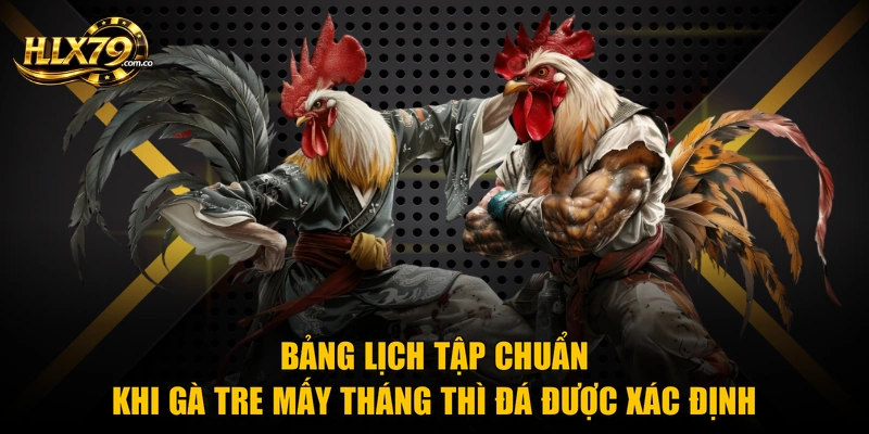 Bảng lịch tập chuẩn khi gà tre mấy tháng thì đá được xác định