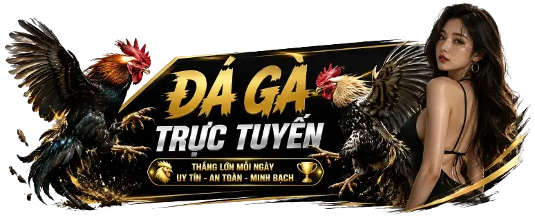 Banner Hlx79 chưa đặt tên