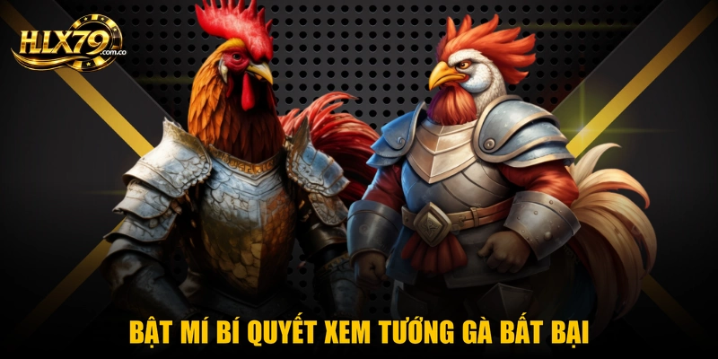 Bật mí bí quyết xem tướng gà bất bại