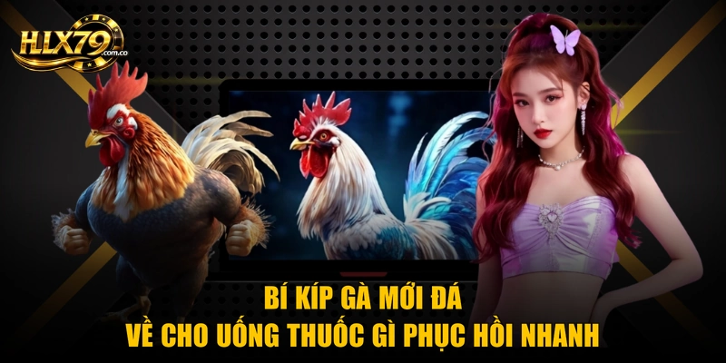 Bí kíp gà mới đá về cho uống thuốc gì phục hồi nhanh
