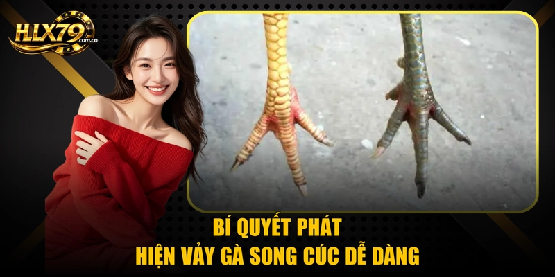 Bí quyết phát hiện vảy gà song cúc dễ dàng
