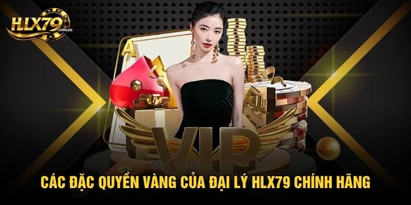 Các đặc quyền vàng của đại lý HLX79 chính hãng