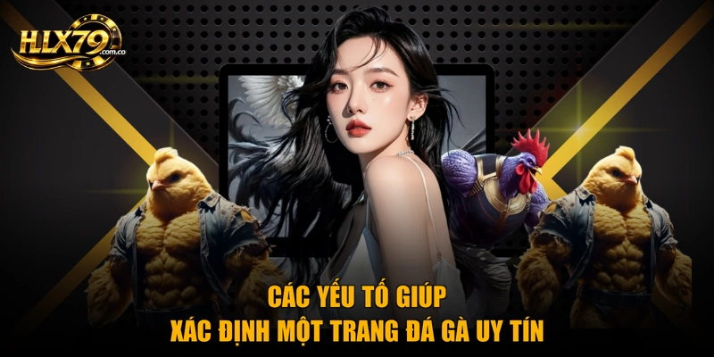 Các yếu tố giúp xác định một trang đá gà uy tín