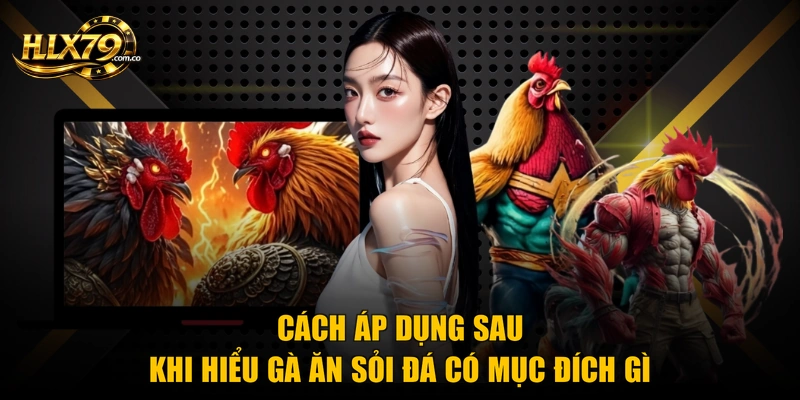 Cách áp dụng sau khi hiểu gà ăn sỏi đá có mục đích gì