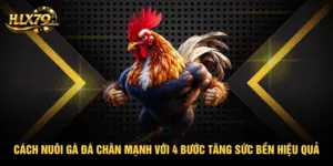Cách Nuôi Gà Đá Chân Mạnh Với 4 Bước Tăng Sức Bền Hiệu Quả