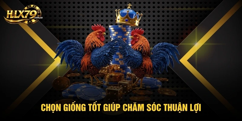 Chọn giống tốt giúp chăm sóc thuận lợi