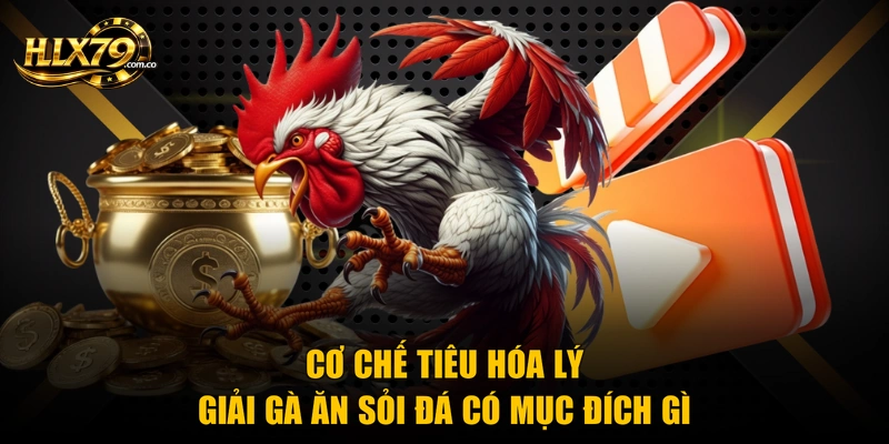 Cơ chế tiêu hóa lý giải gà ăn sỏi đá có mục đích gì