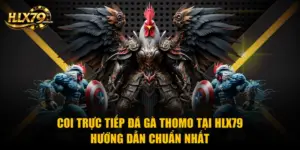 Coi Trực Tiếp Đá Gà Thomo Tại Hlx79 - Hướng Dẫn Chuẩn Nhất