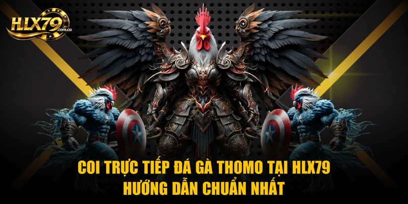 Coi Trực Tiếp Đá Gà Thomo Tại Hlx79 - Hướng Dẫn Chuẩn Nhất