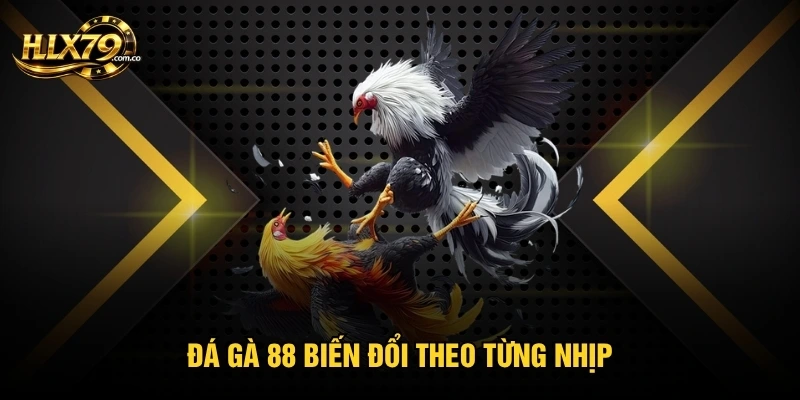 Đá gà 88 biến đổi theo từng nhịp
