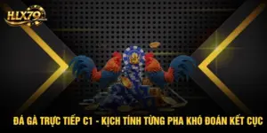 Đá Gà Trực Tiếp C1 - Kịch Tính Từng Pha Khó Đoán Kết Cục