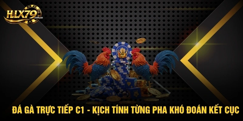 Đá Gà Trực Tiếp C1 - Kịch Tính Từng Pha Khó Đoán Kết Cục