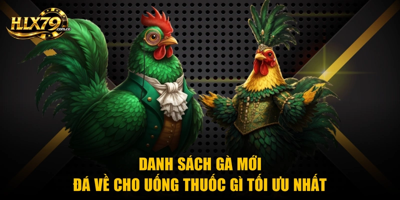 Danh sách gà mới đá về cho uống thuốc gì tối ưu nhất