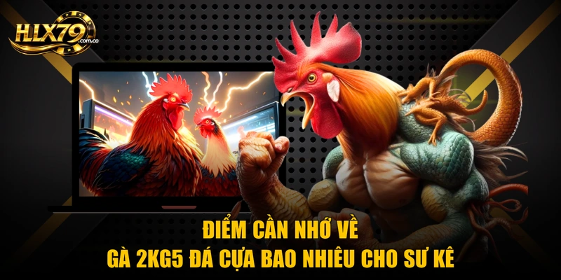 Điểm cần nhớ về gà 2kg5 đá cựa bao nhiêu cho sư kê