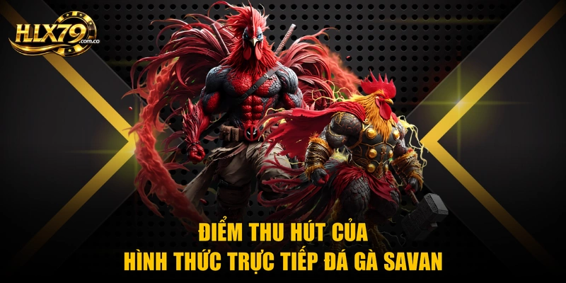 Điểm thu hút của hình thức trực tiếp đá gà Savan