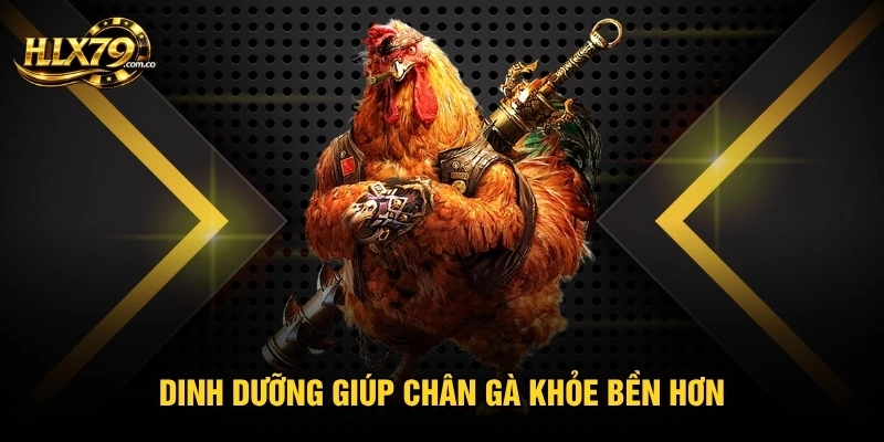 Dinh dưỡng giúp chân gà khỏe bền hơn
