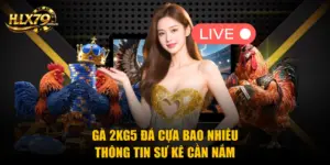 Gà 2kg5 Đá Cựa Bao Nhiêu - Thông Tin Sư Kê Cần Nắm