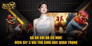 Gà Ăn Sỏi Đá Có Mục Đích Gì? 3 Vai Trò Sinh Học Quan Trọng