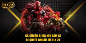 Gà Chuẩn Bị Đá Nên Làm Gì - Bí Quyết Chuẩn Từ Hlx 79
