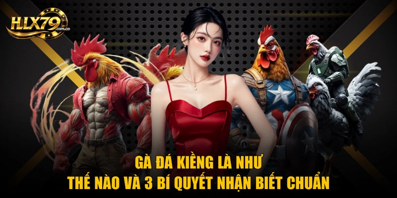 Gà Đá Kiềng Là Như Thế Nào Và 3 Bí Quyết Nhận Biết Chuẩn