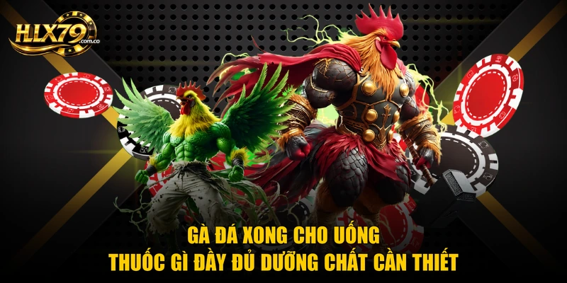 Gà đá xong cho uống thuốc gì đầy đủ dưỡng chất cần thiết