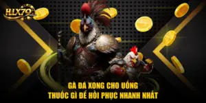 Gà Đá Xong Cho Uống Thuốc Gì Để Hồi Phục Nhanh Nhất
