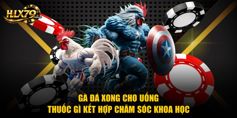 Gà đá xong cho uống thuốc gì kết hợp chăm sóc khoa học