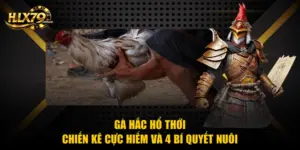 Gà Hắc Hổ Thới - Chiến Kê Cực Hiếm Và 4 Bí Quyết Nuôi