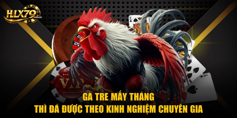 Gà Tre Mấy Tháng Thì Đá Được Theo Kinh Nghiệm Chuyên Gia