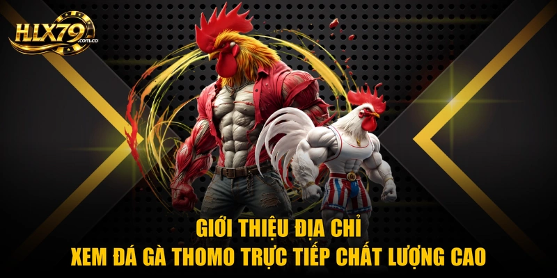 Giới thiệu địa chỉ xem đá gà Thomo trực tiếp chất lượng cao