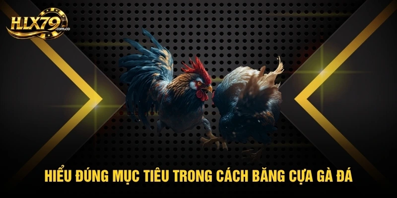 Hiểu đúng mục tiêu trong cách băng cựa gà đá Hiểu đúng mục tiêu trong cách băng cựa gà đá