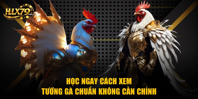 Học ngay cách xem tướng gà chuẩn không cần chỉnh