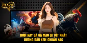 Hôm Nay Đá Gà Màu Gì Tốt Nhất - Hướng Dẫn Xem Chuẩn Xác