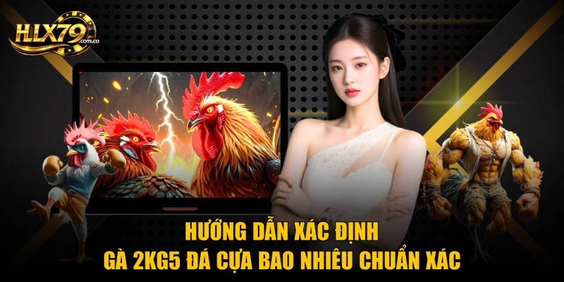 Hướng dẫn xác định gà 2kg5 đá cựa bao nhiêu chuẩn xác