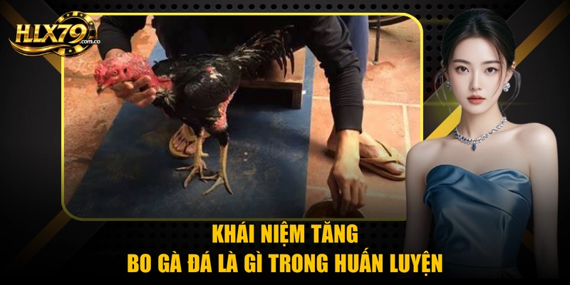 Khái niệm tăng bo gà đá là gì trong huấn luyện
