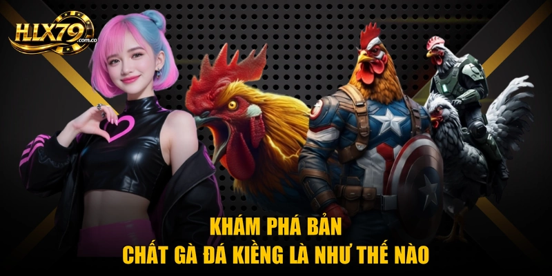 Khám phá bản chất gà đá kiềng là như thế nào
