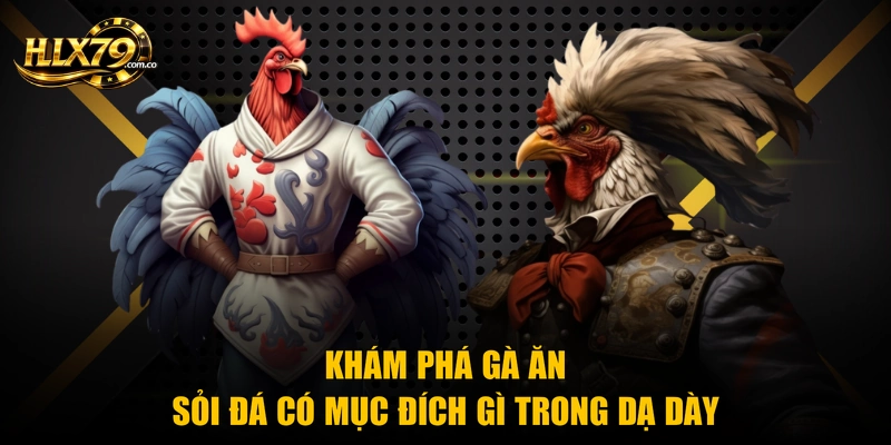 Khám phá gà ăn sỏi đá có mục đích gì trong dạ dày