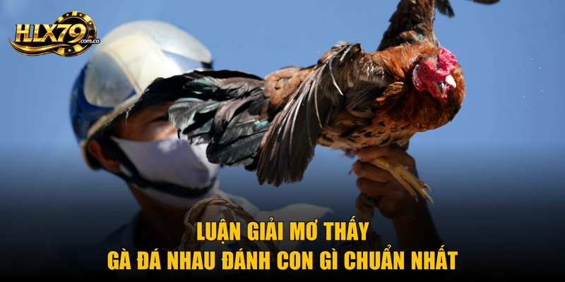 Luận giải mơ thấy gà đá nhau đánh con gì chuẩn nhất
