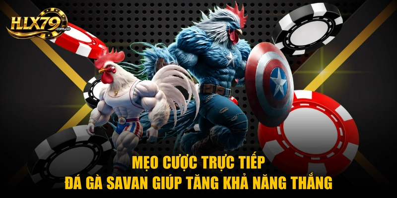 Mẹo cược trực tiếp đá gà Savan giúp tăng khả năng thắng