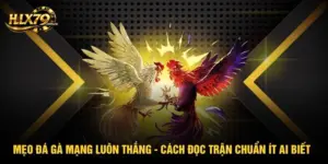 Mẹo Đá Gà Mạng Luôn Thắng - Cách Đọc Trận Chuẩn Ít Ai Biết