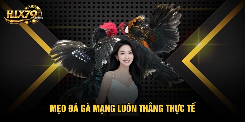 Mẹo đá gà mạng luôn thắng thực tế Mẹo đá gà mạng luôn thắng thực tế