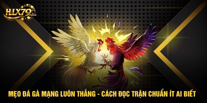 Mẹo Đá Gà Mạng Luôn Thắng - Cách Đọc Trận Chuẩn Ít Ai Biết