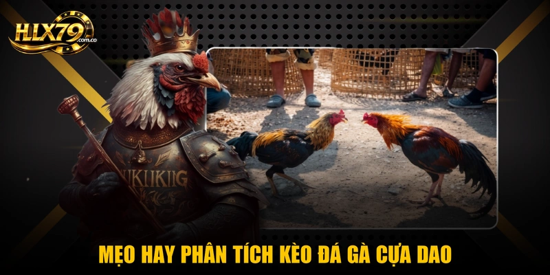Mẹo hay phân tích kèo đá gà cựa dao