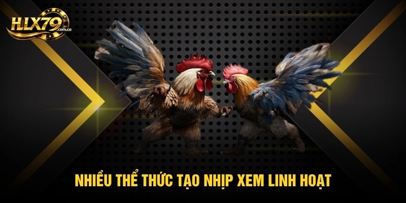Nhiều thể thức tạo nhịp xem linh hoạt Nhiều thể thức tạo nhịp xem linh hoạt