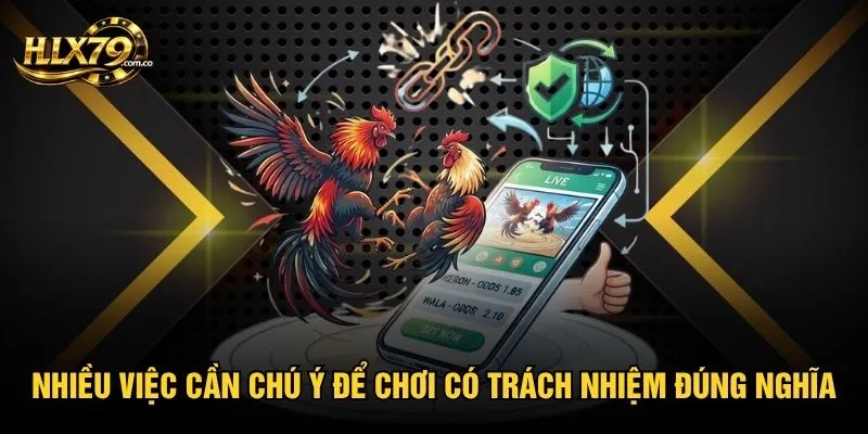 Nhiều việc cần chú ý để chơi có trách nhiệm đúng nghĩa