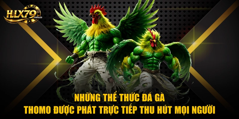 Những thể thức đá gà Thomo được phát trực tiếp thu hút mọi người