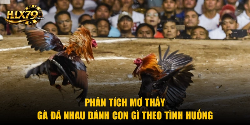 Phân tích mơ thấy gà đá nhau đánh con gì theo tình huống