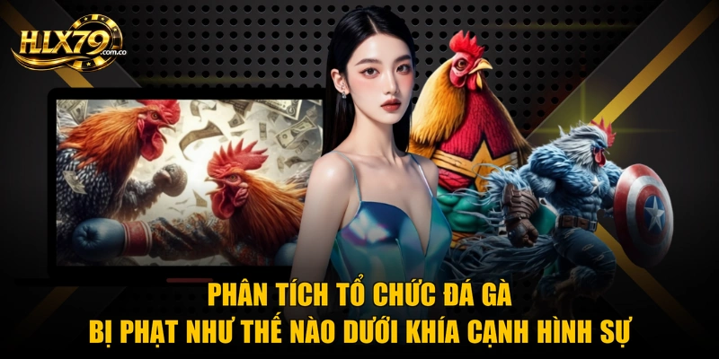 Phân tích tổ chức đá gà bị phạt như thế nào dưới khía cạnh hình sự