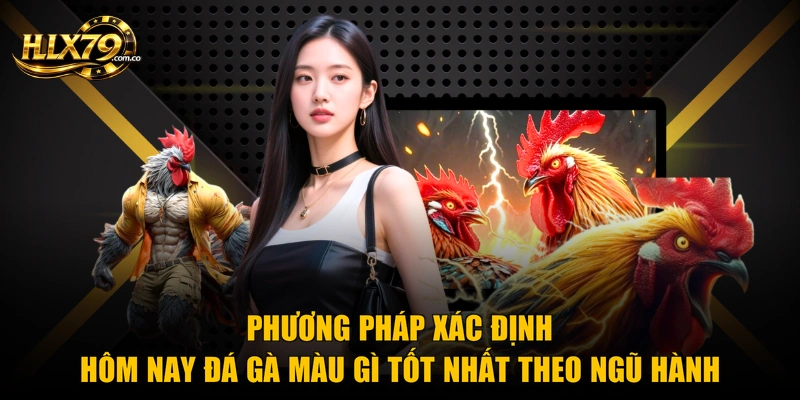 Phương pháp xác định hôm nay đá gà màu gì tốt nhất theo ngũ hành