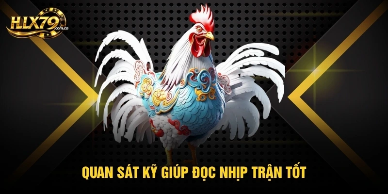 Quan sát kỹ giúp đọc nhịp trận tốt